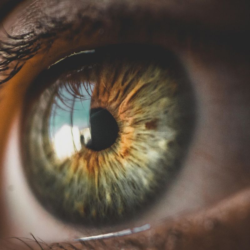 eye health